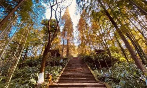 칭신 현 중안 사원
