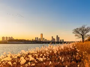 Yeouido Hangang Park