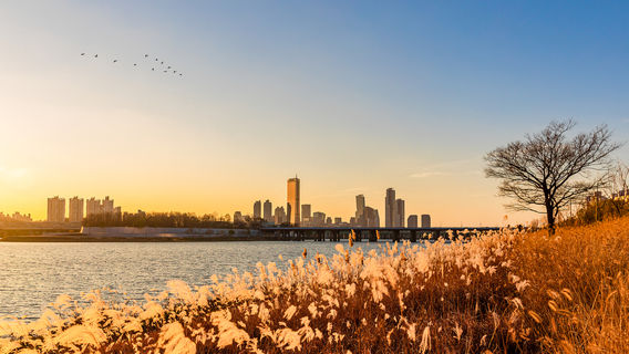 Yeouido Hangang Park
