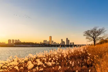 Youeido Han River Park