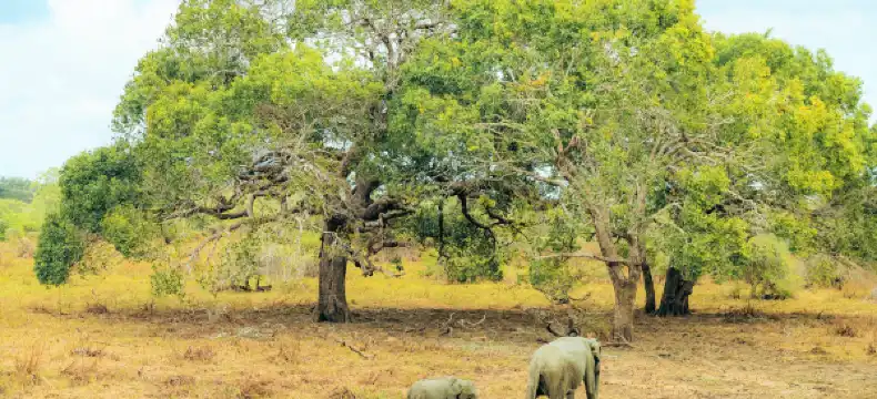 莫訥勒格勒區酒店