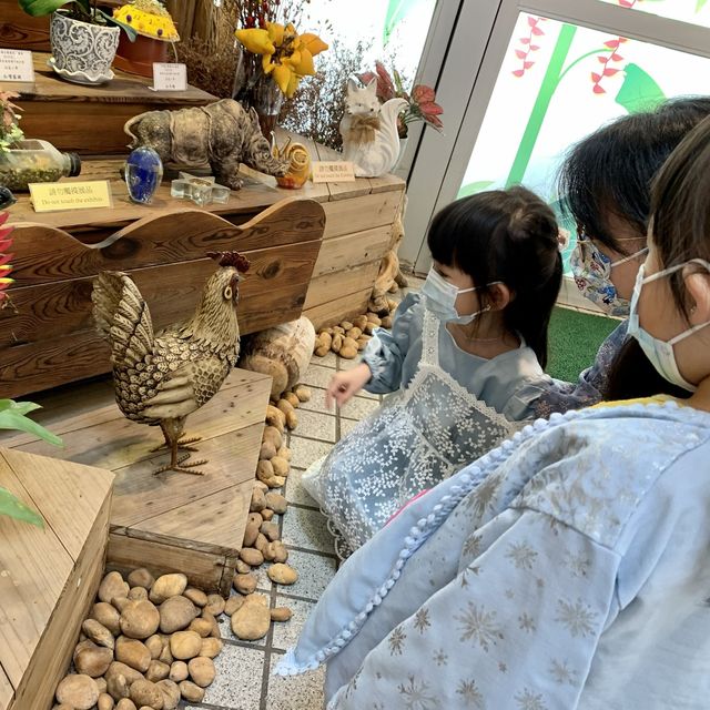 #免費入場 #觀鳥園 #百花齊放 #親子好去處