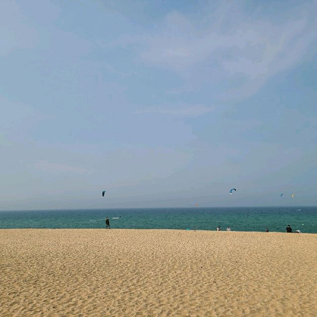 안목? 경포? 송정해변으로 오세요!!