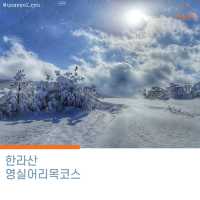 [초보도 가능한  한라산 등산코스]