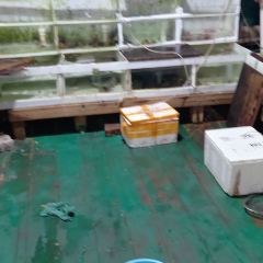 罗源湾77号渔排 User Photo