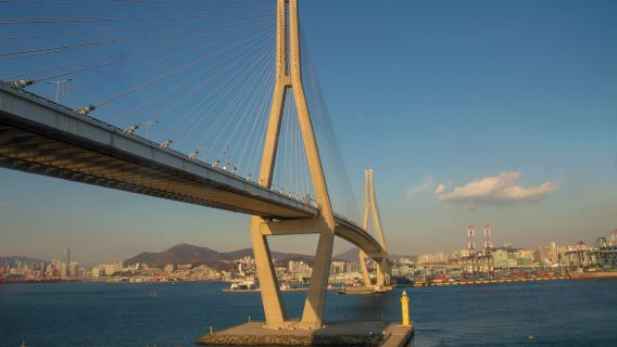Billete de barco para el crucero turístico de Jagalchi en el puerto de Busan|billete de crucero de Jagalchi