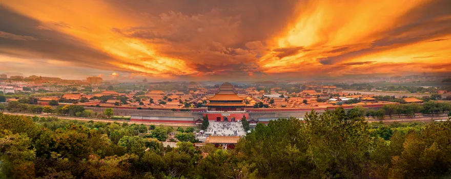 The Palace Museum