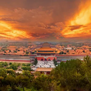 The Palace Museum