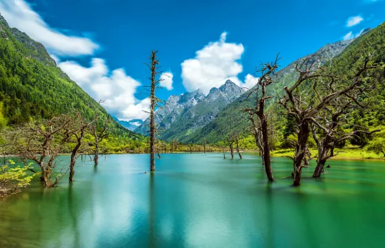 四姑娘山長坪溝門票+觀光車票成人（非中國籍遊客）