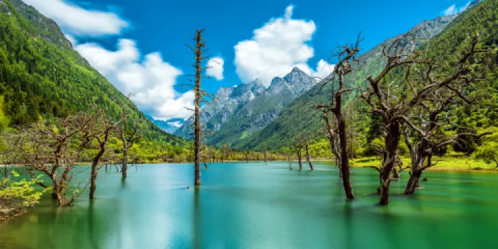 四姑娘山長坪溝景區