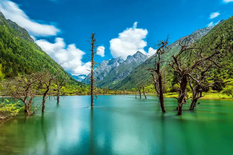 Hotels near Changping Valley