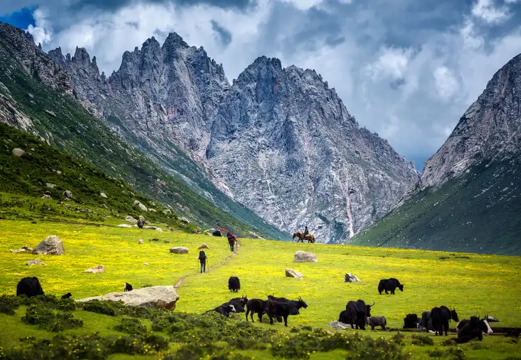 Hotels in Golog Tibetan Autonomous Prefecture