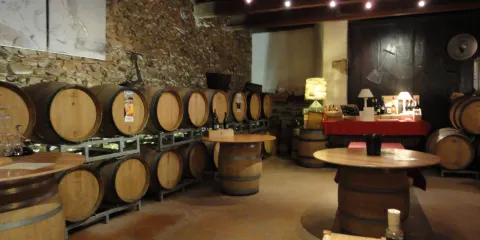 Domaine Regis Descotes