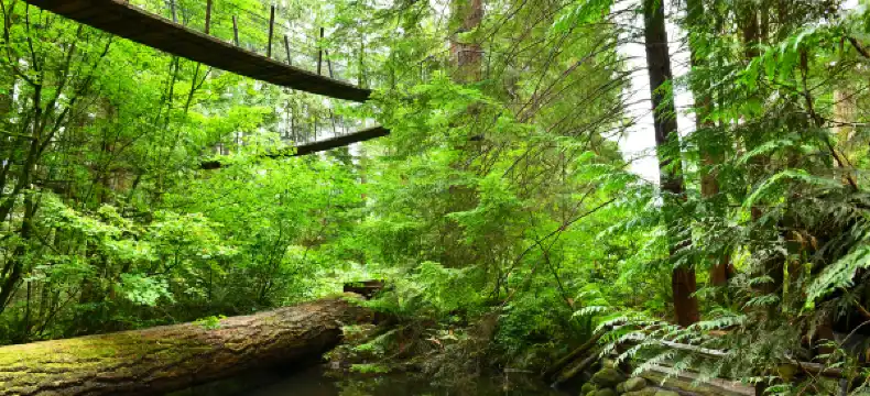 โรงแรมในวูดบริดจ์