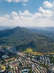 산꼭대기 공원