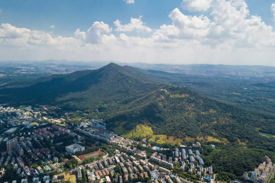 산꼭대기 공원