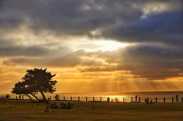 Sunset Boulevard