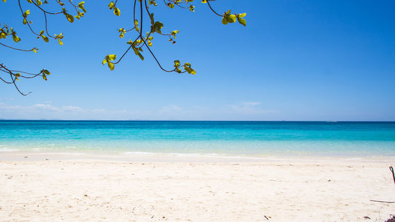 Maldive