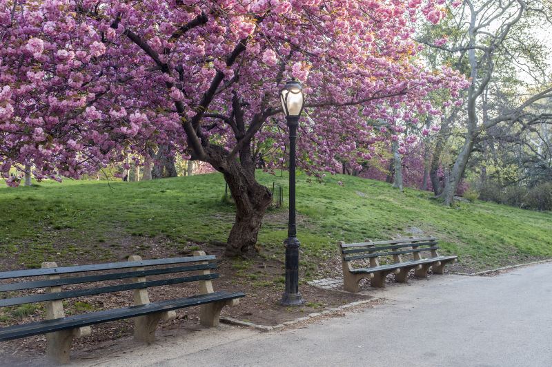 巴黎公園