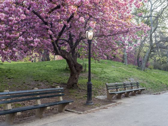 巴里公園