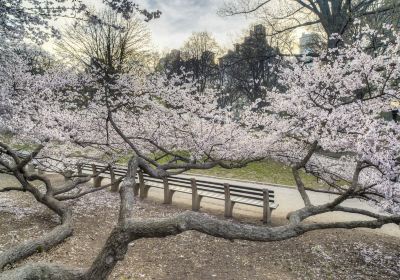 大和高田市