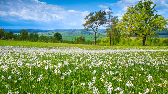 Kakadu National Park
