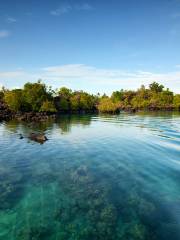 Rock Islands Southern Lagoon