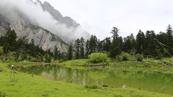 Diebu