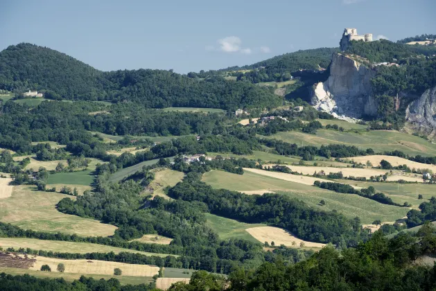 Perfect Location, Cosy 1Br Apartment