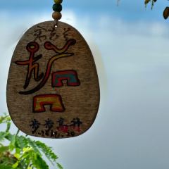 Mo suo ren jia jun xiang chicken.stone fish User Photo