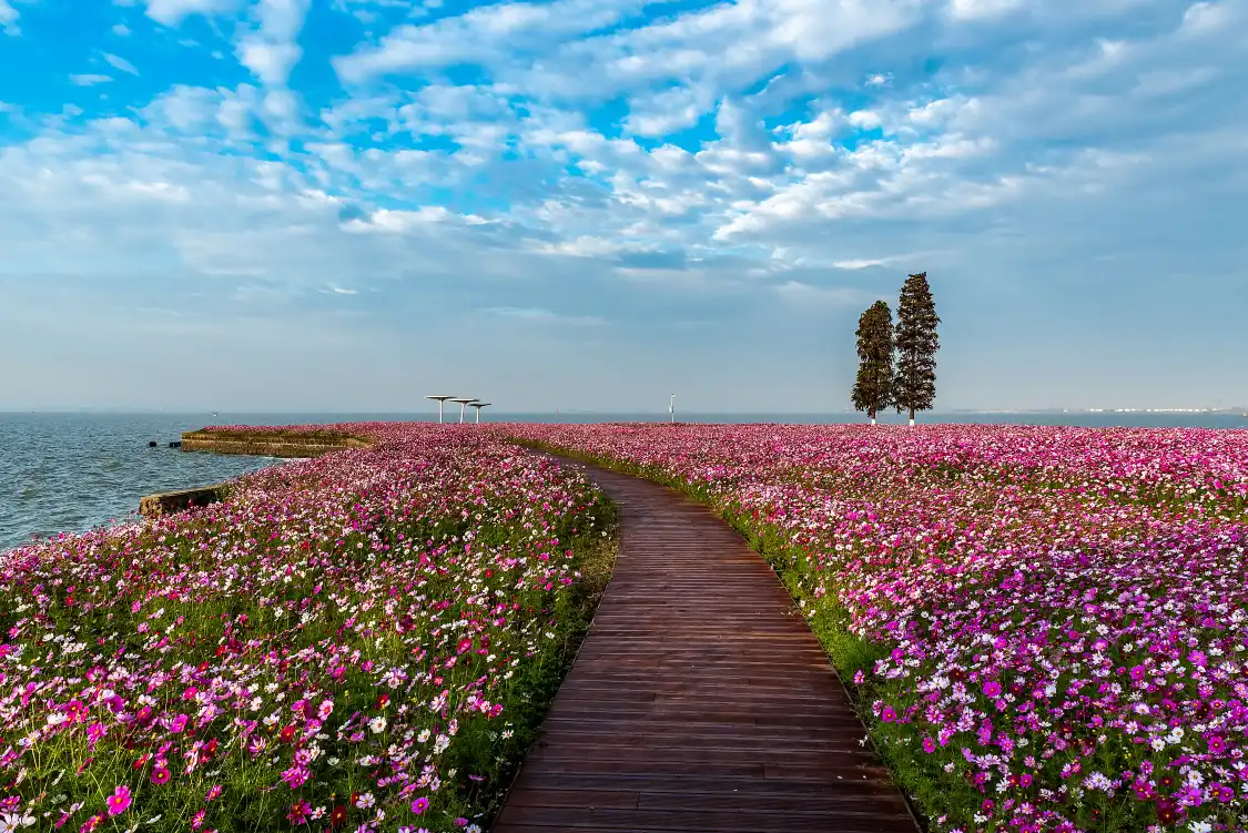 산 호수 주변 호텔