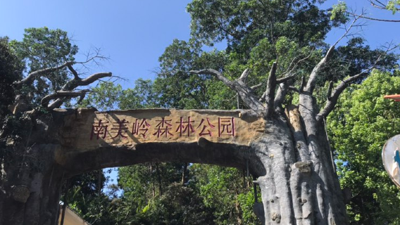 Bạch Sa