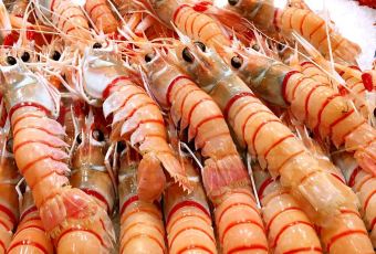 花家怡園（四合院總店）用戶圖片