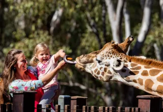 6 Reasons for a Family Holiday in Sydney