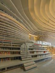 Binhai New Area Library