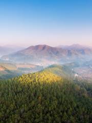 Xinfeng Cherry Blossom Valley