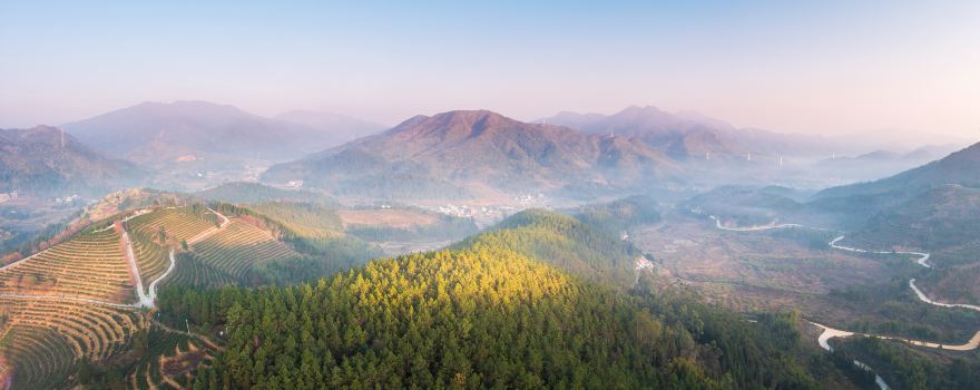 Xinfeng Cherry Blossom Valley