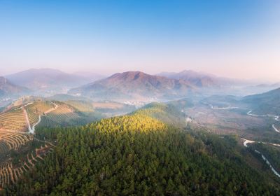 Xinfeng Cherry Blossom Valley