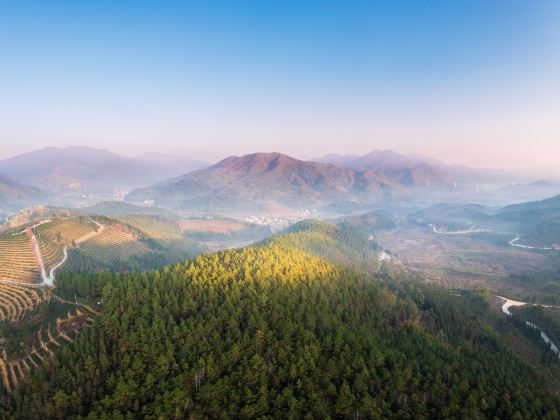 Xinfeng Cherry Blossom Valley