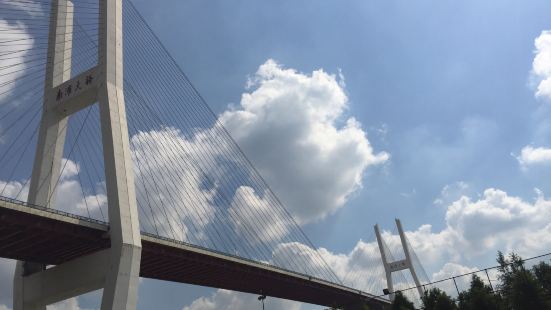 南浦大桥是上海黄浦江上第一座由中国人自行设计建造的双塔双索面