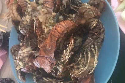 Torba Karya Unlu Mamulleri