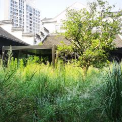 一尺花园(金府店) User Photo