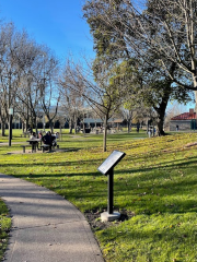 San Ramon Central Park