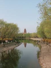Longhai Park