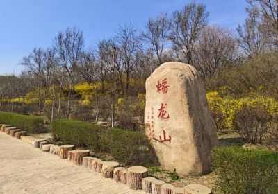 Panlong Mountain