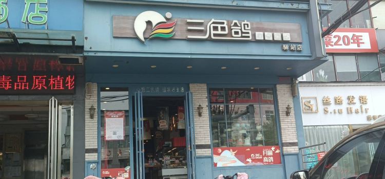三色鸽(师院店)