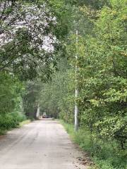 Yecaohe Wetland Sceneic Area