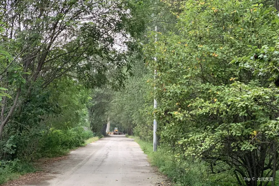 Yecaohe Wetland Sceneic Area