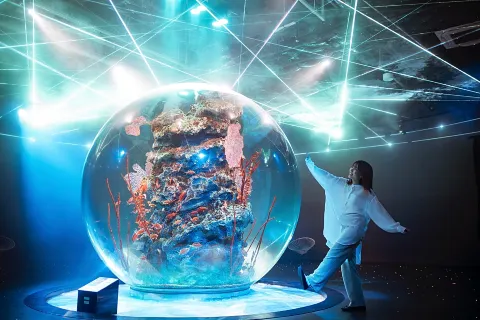 AQUARIUM×ART átoa