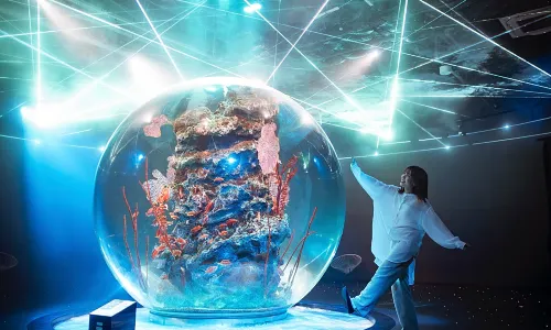 AQUARIUM×ART átoa
